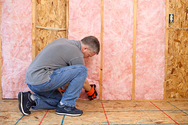 Best Wall Insulation Installation  in Fairview Heights, IL