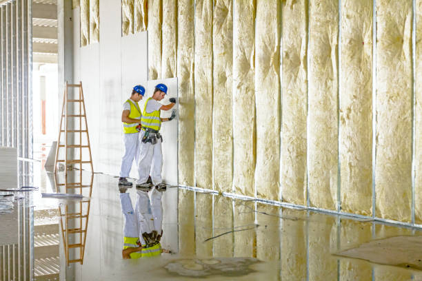 Best Eco-Friendly or Green Insulation Solutions  in Fairview Heights, IL